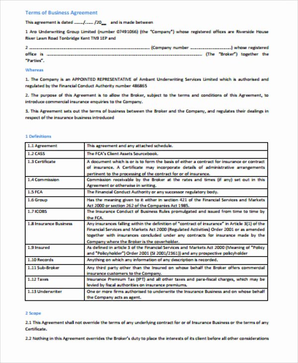 Terms Of Agreement Sample Inspirational 12 Sample Business Agreements