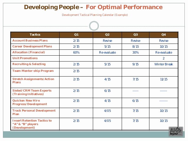 Training and Development Plan Example Awesome Mercial Excellence Sales Plan Example