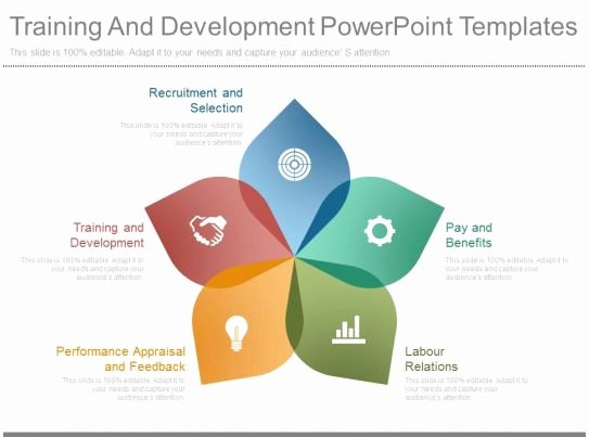 Training and Development Plan Template Lovely Style Circular Spokes 5 Piece Powerpoint