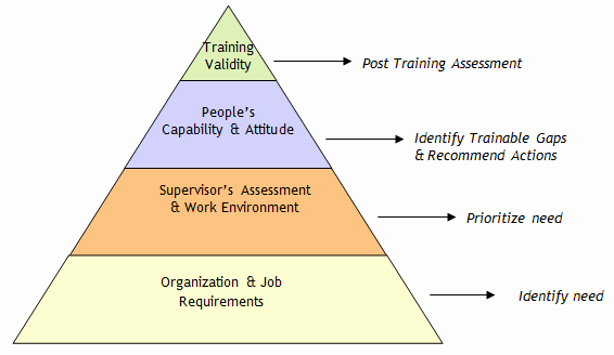 Training Needs Survey Elegant Signature solutions Limited