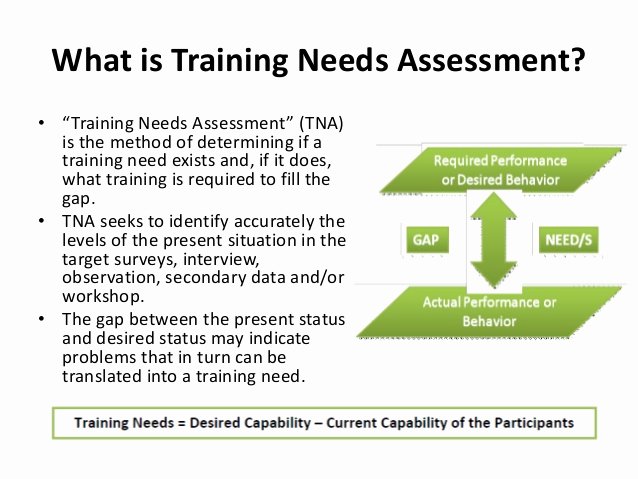 Training Needs Survey Elegant Training Need assessment