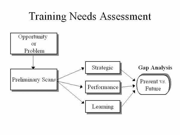 Training Needs Survey Lovely the Landing Needs assessment Artefact &amp; Reflection