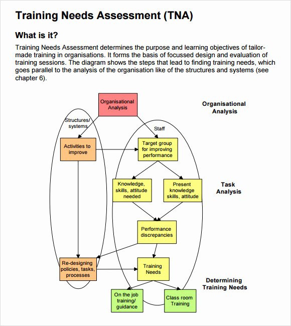 Training Needs Survey Unique 14 Sample Training Needs assessment Templates Pdf Word