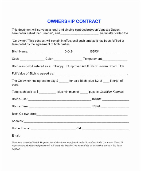 Transfer Of Ownership Agreement Template Lovely 1 Pany Contract Templates Word Pdf Google Docs