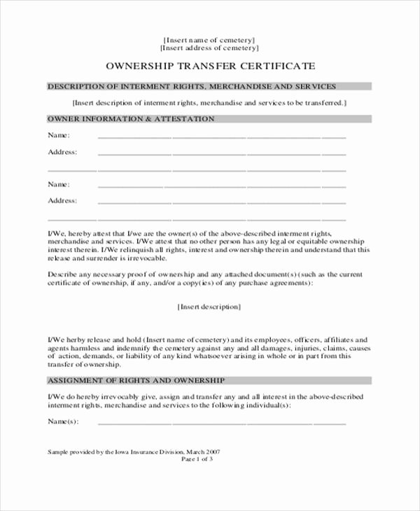 Transfer Of Ownership Agreement Template Unique 8 Ownership Transfer Letter Templates Pdf Doc