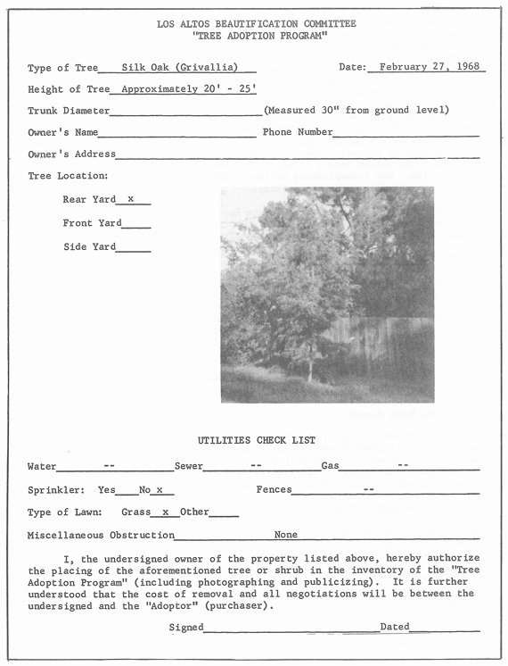 Tree Trimming Estimate Template Awesome Trees In the City