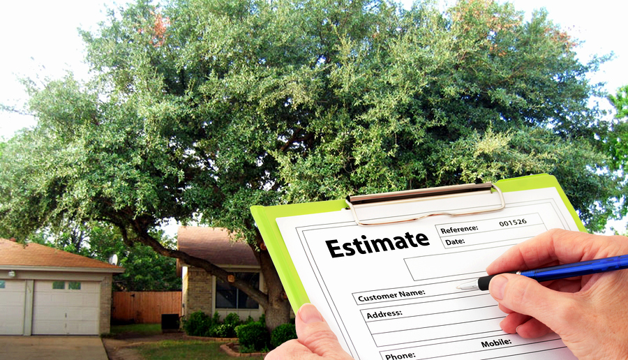 Tree Trimming Estimate Template Luxury Get A Free Tree Service Estimate From Trapp S Tree Service