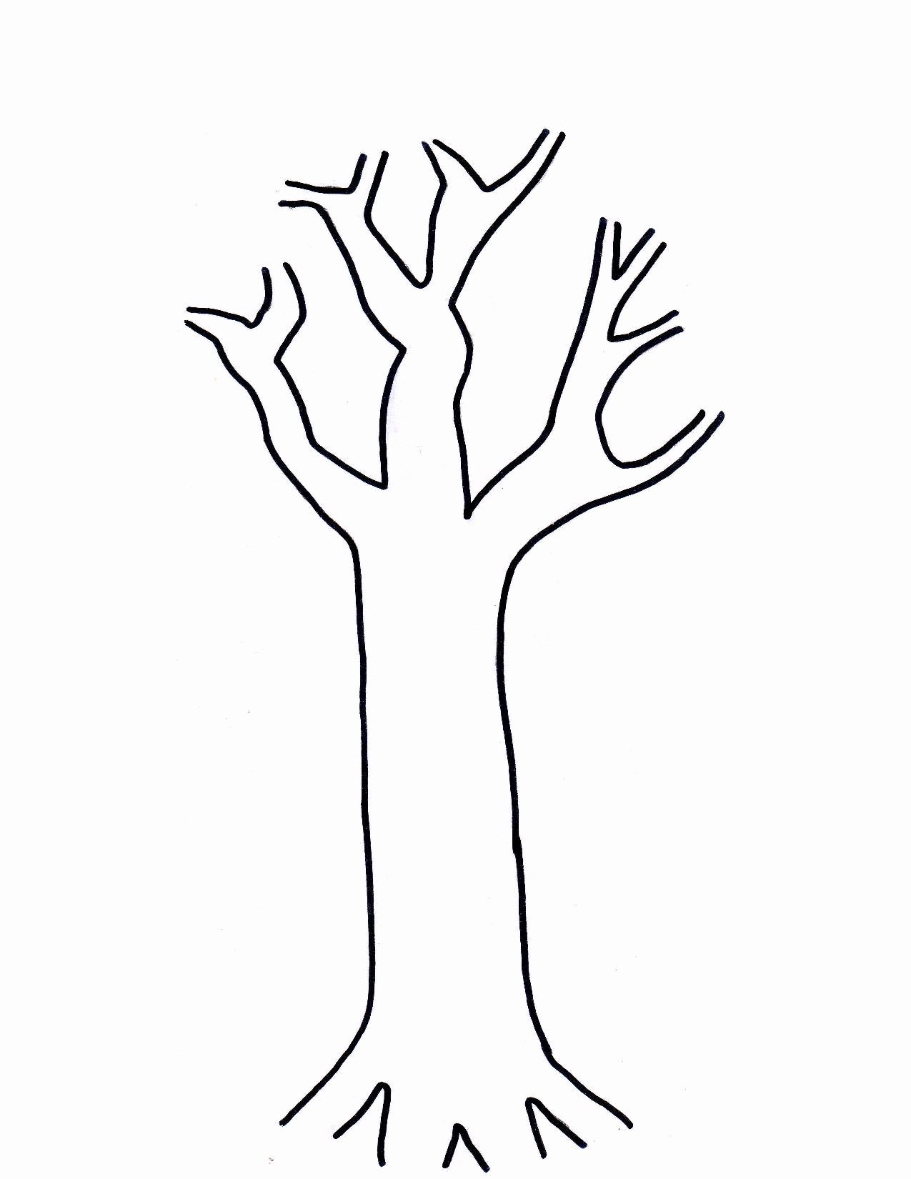 Tree Trunk Template New Printable Tree Template Coloring Home