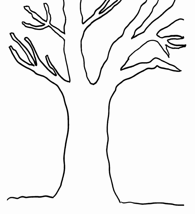 Tree Trunk Template New Tree Coloring Pages Dr Odd