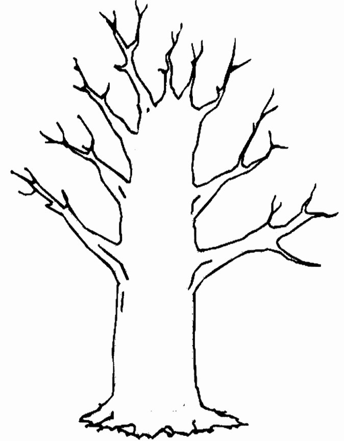 Tree Trunk Template New Tree Trunk Coloring Page Coloring Pages