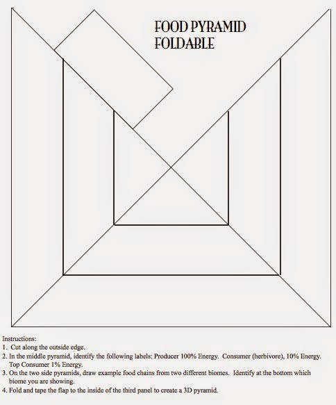 Triangle Foldable Template Inspirational Ecological Pyramids Worksheet