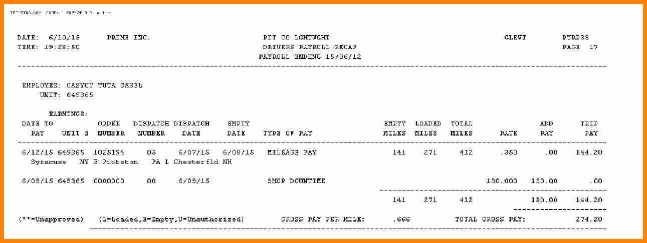 Truck Driver Pay Stub Template Awesome 5 Truck Driver Pay Stub
