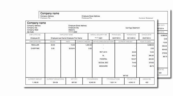 Truck Driver Pay Stub Template Beautiful Home Paycheck Stub Line