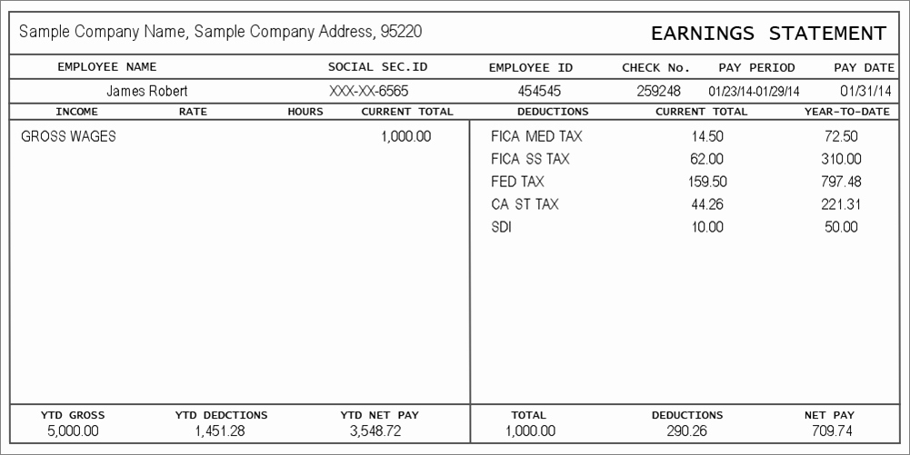 Truck Driver Pay Stub Template Fresh Pay Stub Generator