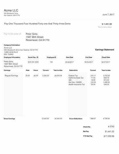 Truck Driver Pay Stub Template Unique Paystub Sample Templates