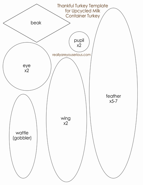 Turkey Feather Template Pattern Printable Best Of Thankful Turkey Centerpiece From Milk Container with Free
