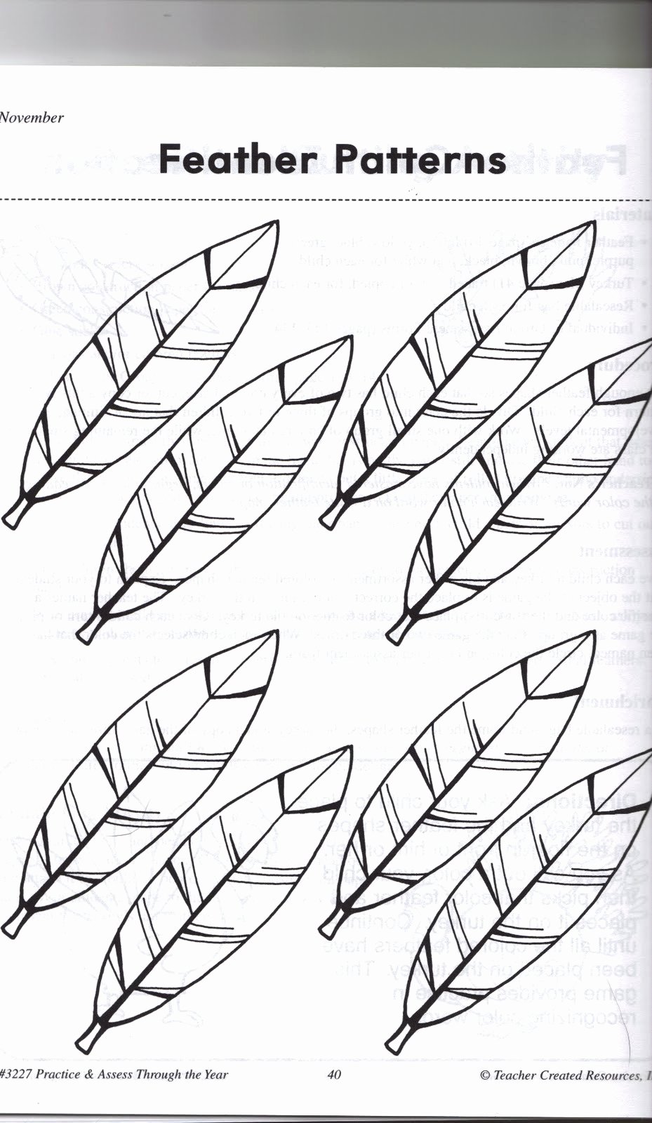 Turkey Feather Template Pattern Printable Inspirational 4 Best Of Feather Pattern Printable Free