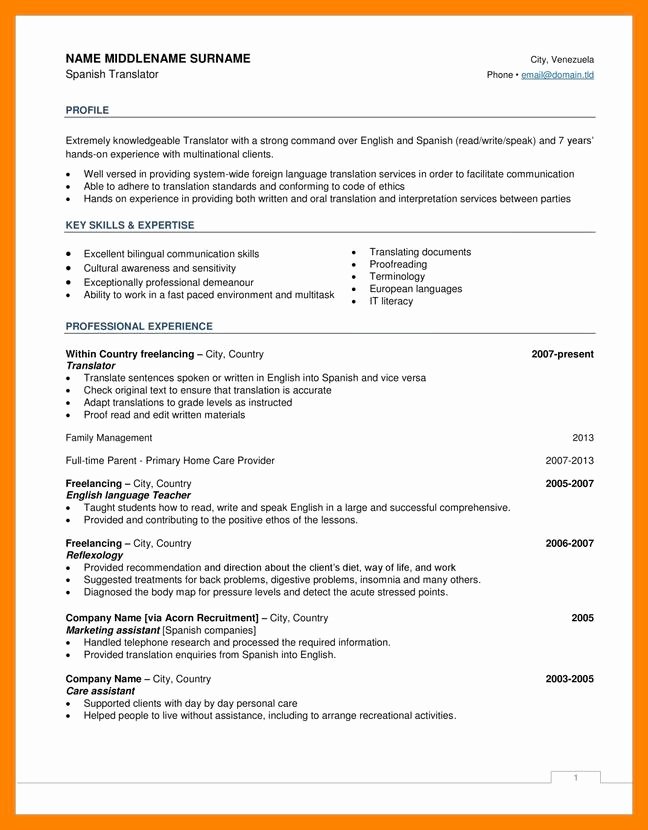 Us-style Resume New 10 Cv American Style