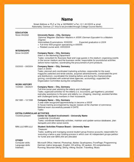 Us-style Resume New American Style Resume Template