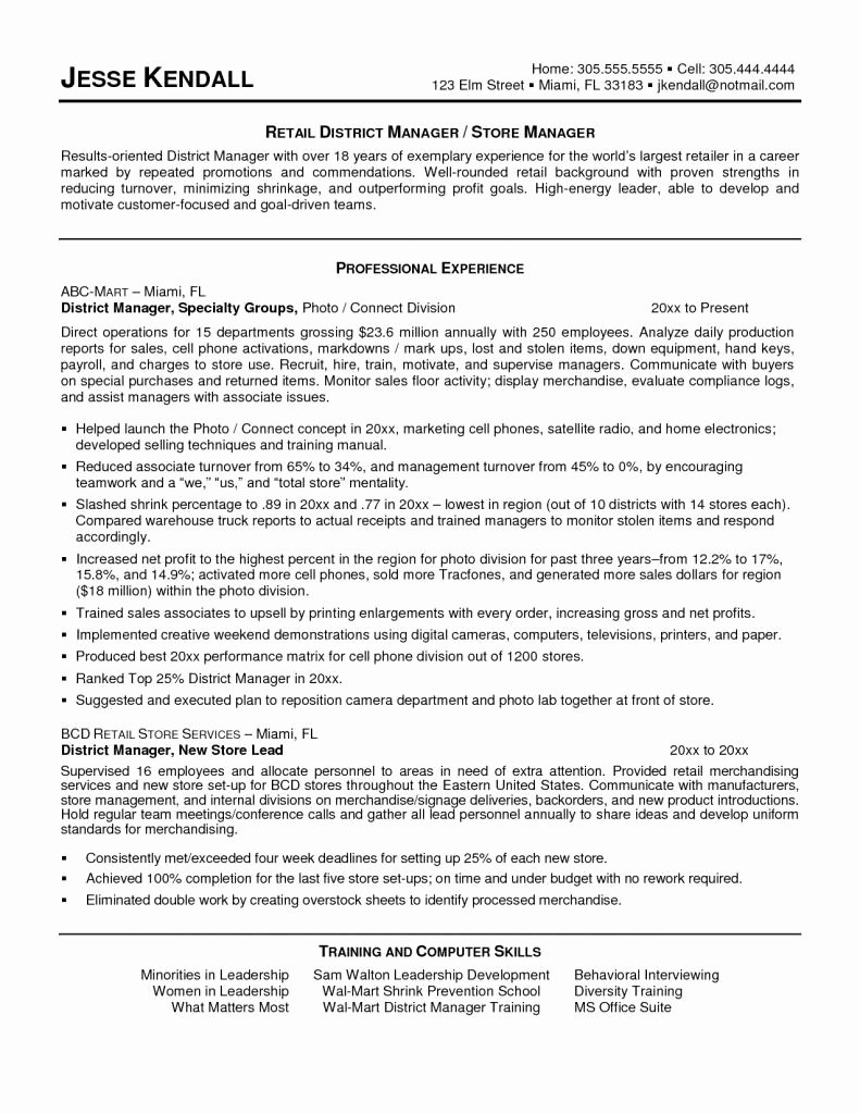 Us-style Resume New Us Resume Template Unique American Style Resume Us Resume