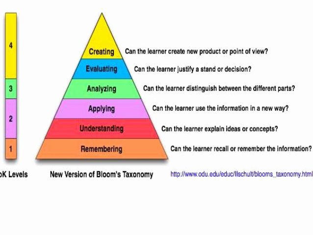 Usf Essay Prompt 2016 Unique Justifying An Evaluation Essay Reportz725 Web Fc2