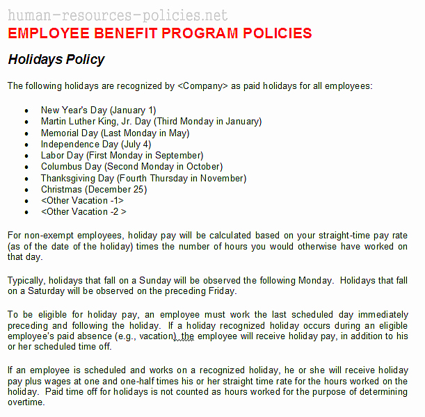 Vacation Policy Template Lovely Vacation and Holiday Policy Template