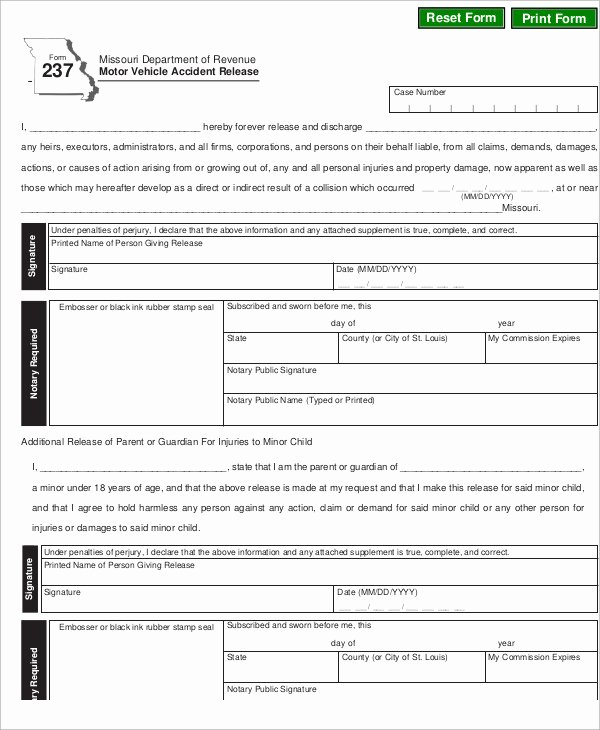 Vehicle Accident form Unique Sample Vehicle Release form 9 Examples In Word Pdf