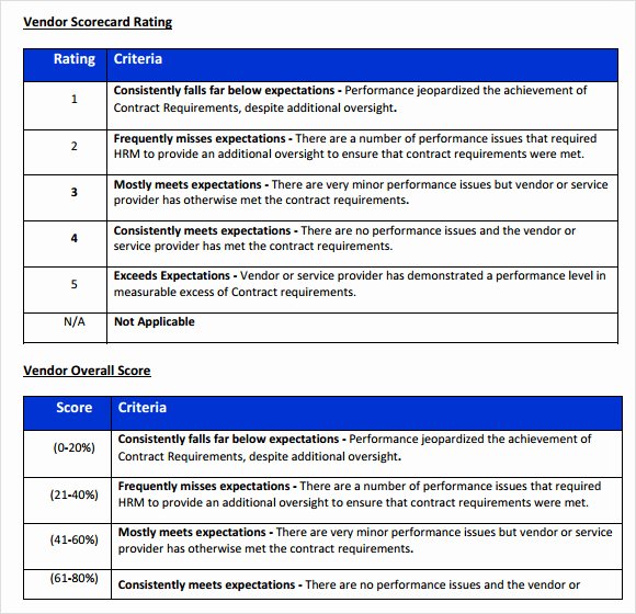 Vendor Evaluation form Elegant Sample Vendor Evaluation 9 Example format