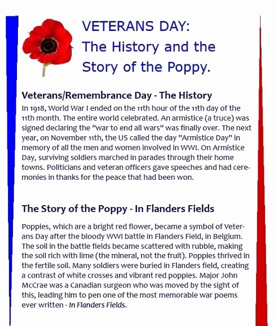 Veterans Day Essay Examples Unique Veterans Day Essay 2018 Happy Veterans Day Essay Ideas