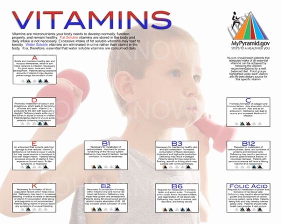 Vitamin Water Cheat Sheet Elegant Pharmacology Project 2 Plus 1 Fat soluble Vitamins