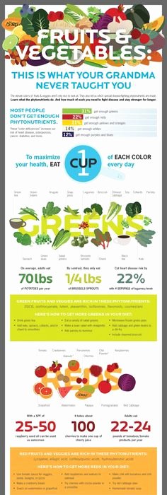 Vitamin Water Cheat Sheet New Essential Minerals Food sources Our Body Needs the