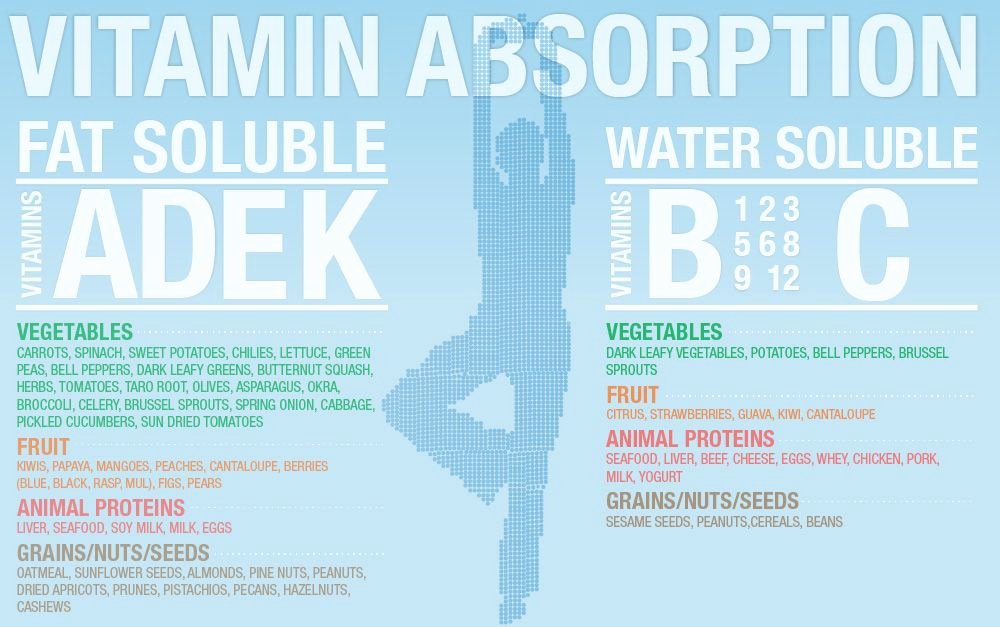 Vitamin Water Cheat Sheet New Vitamin Absorption 101 which Vitamins are Fat Water
