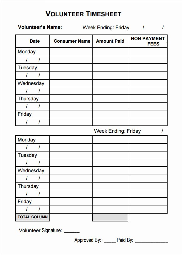 Volunteer Hour Log Template Elegant Sample Volunteer Timesheet 10 Example format