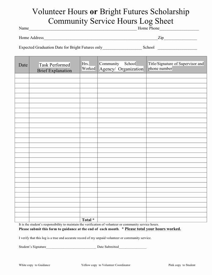 Volunteer Hours Log Template Awesome Munity Service Hours Log Sheet In Word and Pdf formats