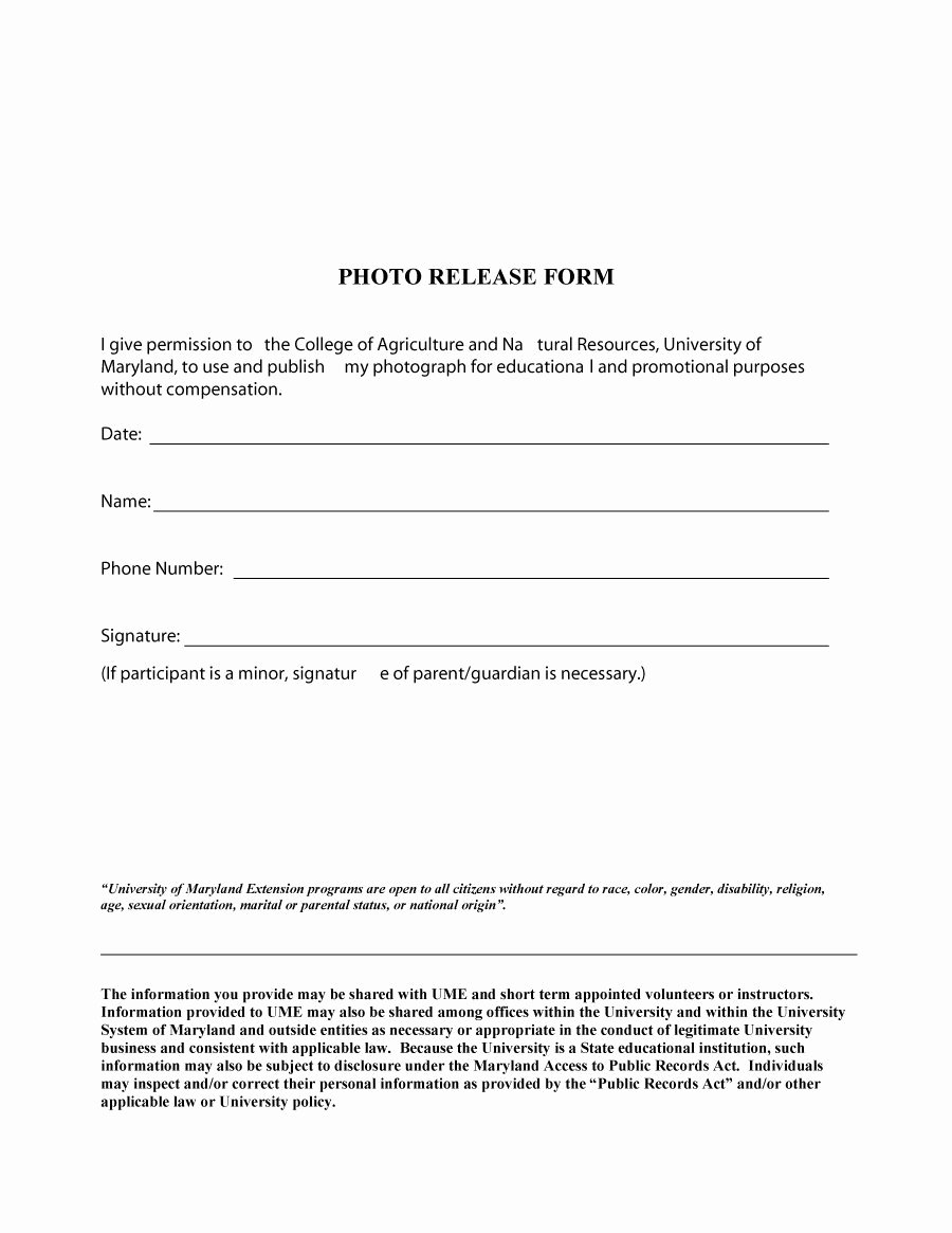 Waiver Template Word Beautiful 53 Free Release form Templates [word Pdf]