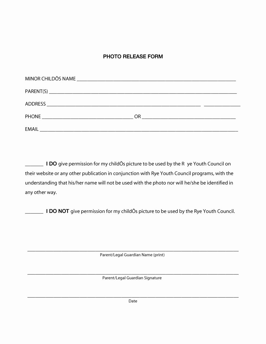 Waiver Template Word Elegant 53 Free Release form Templates [word Pdf]