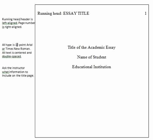 Website Analysis Essay Example Elegant Apa Style Essays are Divided Into the Following Sections