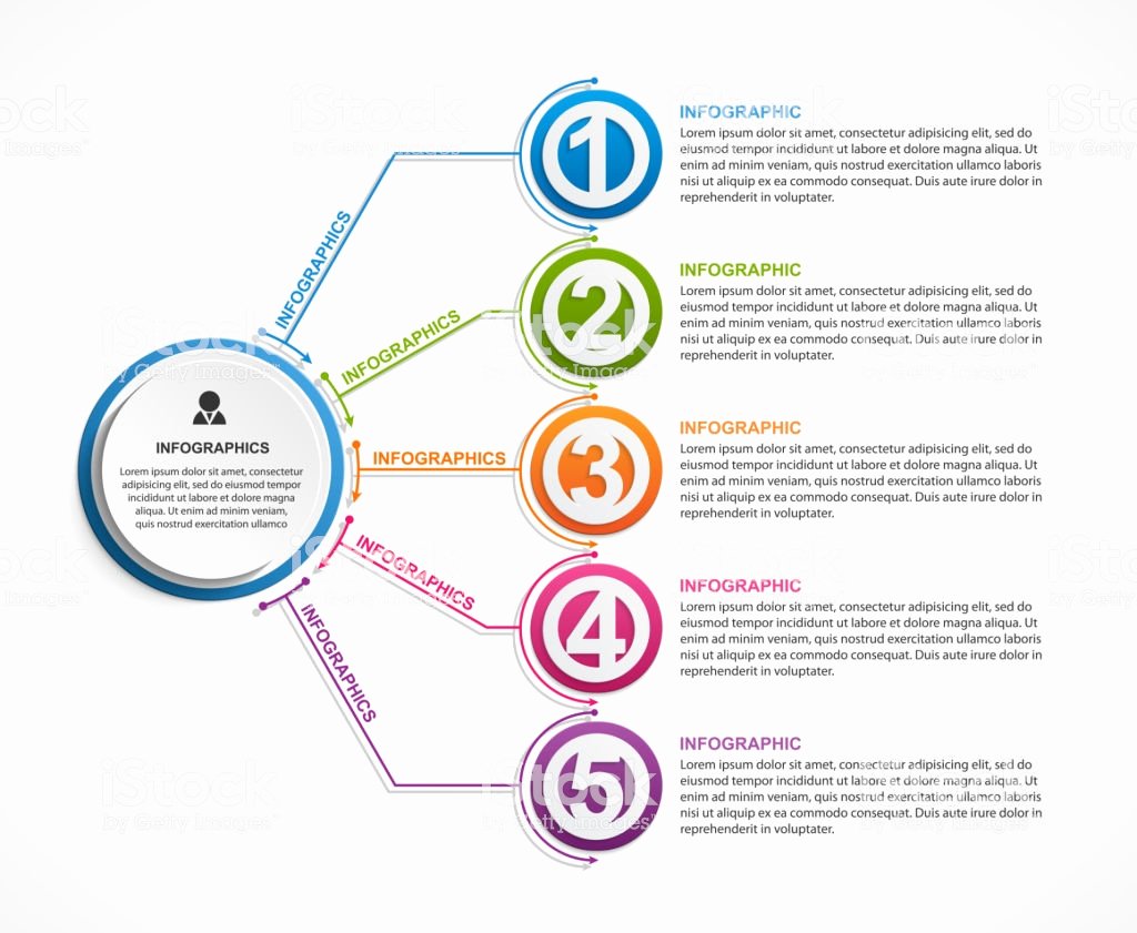 Website Development Timeline Template Beautiful Infographic Design organization Chart Template for