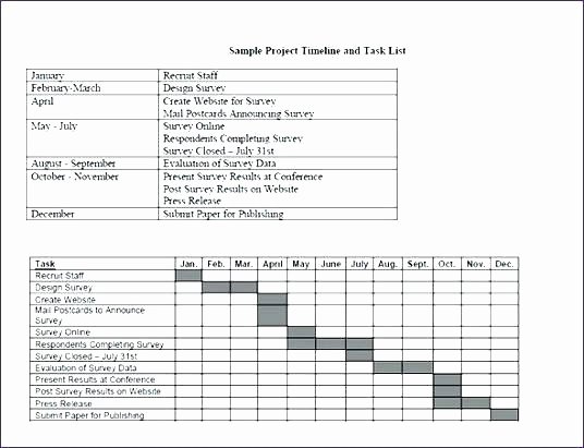 Website Development Timeline Template Elegant Design Project Timeline Template