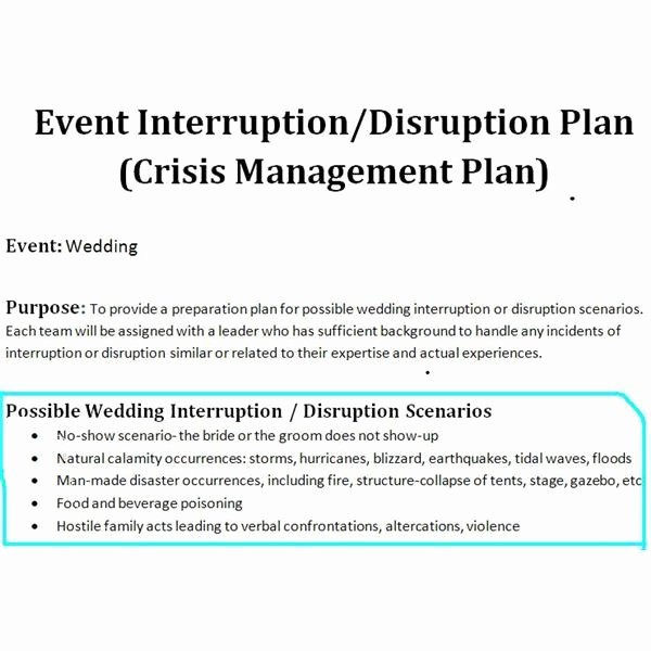 Wedding Project Plan Awesome Sample Of A Crisis Management Plan for Wedding events