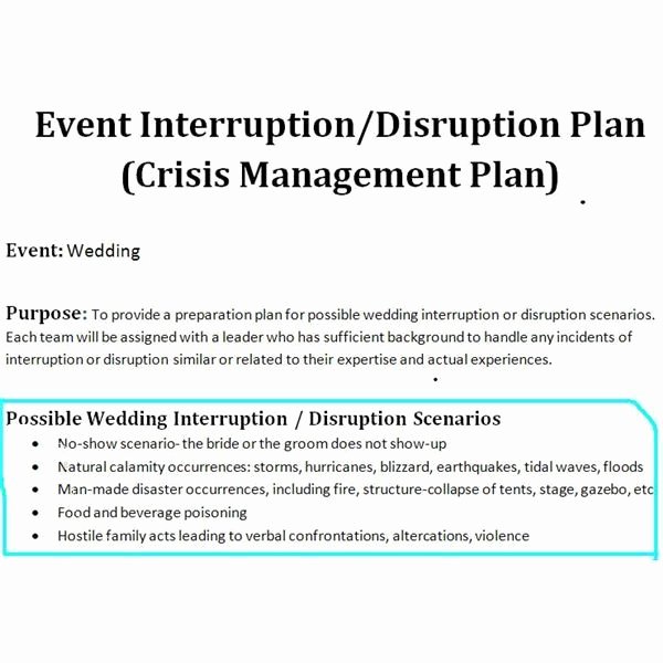 Wedding Project Plan Awesome Sample Of A Crisis Management Plan for Wedding events