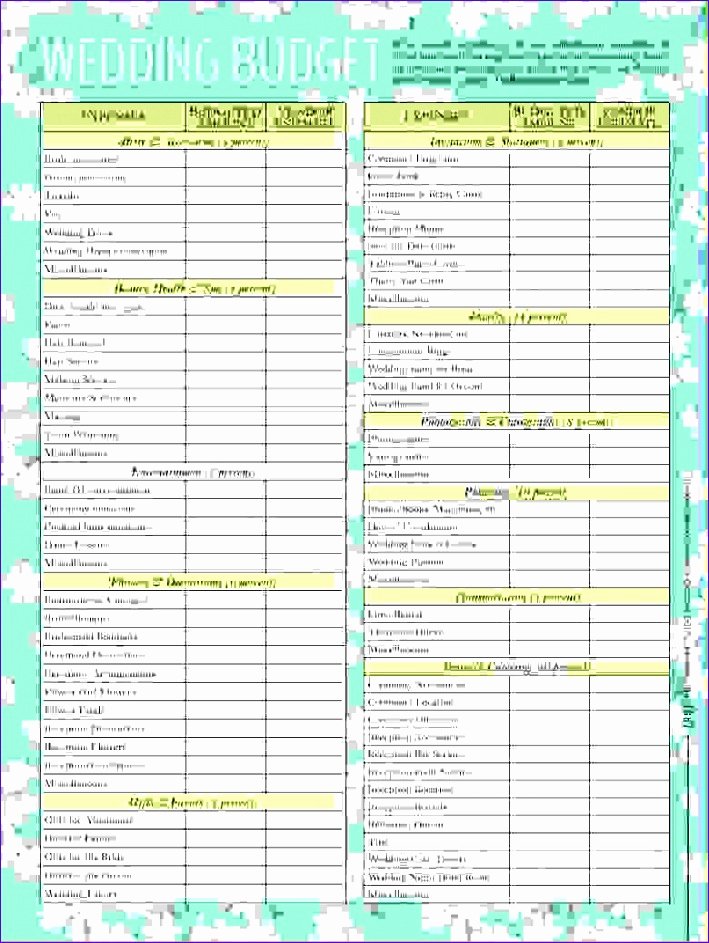 Wedding Project Plan Excel Luxury 6 Project Plan Excel Template Free Exceltemplates
