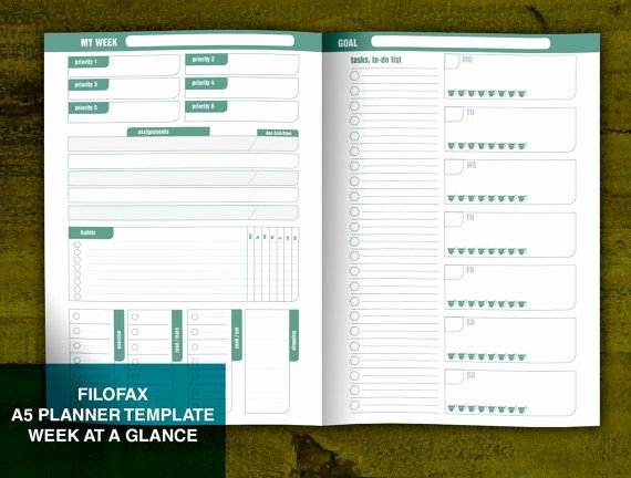 Week at A Glance Templates Elegant 17 Best Images About Planner On Pinterest