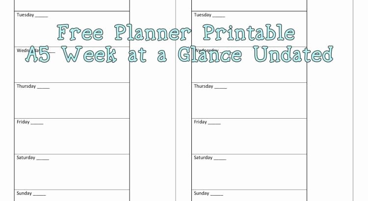 Week at A Glance Templates Fresh Free Printable Planner Page A5 Week On E Page Undated