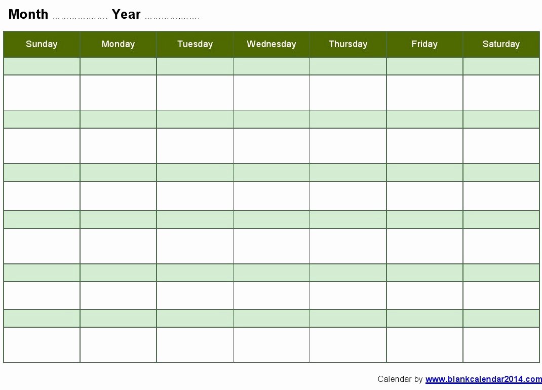 Week Schedule Template Word Beautiful Weekly Schedule Template Word