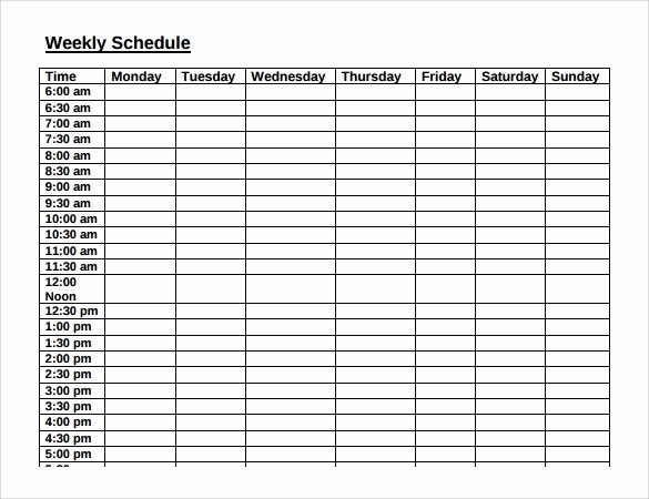Week Schedule Template Word Lovely Weekly Agenda Sample 9 Documents Pdf Word