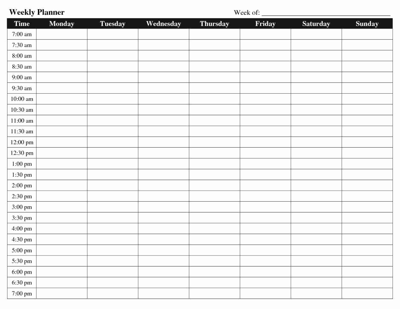 Weekly Hourly Planner Template Fresh Hourly Schedule Template
