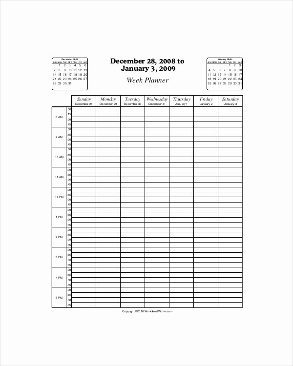 Weekly Hourly Planner Template Inspirational 5 Hourly Planner Templates Free Download