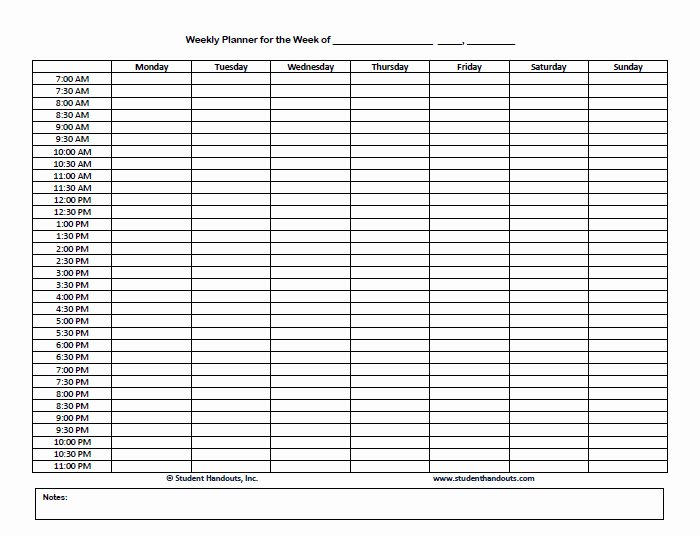 Weekly Hourly Planner Template New Daily Calendar