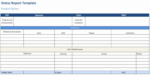 Weekly Project Status Report Template Excel Elegant Status Report Template Projectmanager